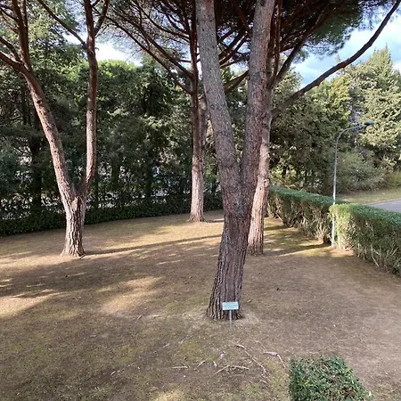 Διαμέρισμα In Con Piscina