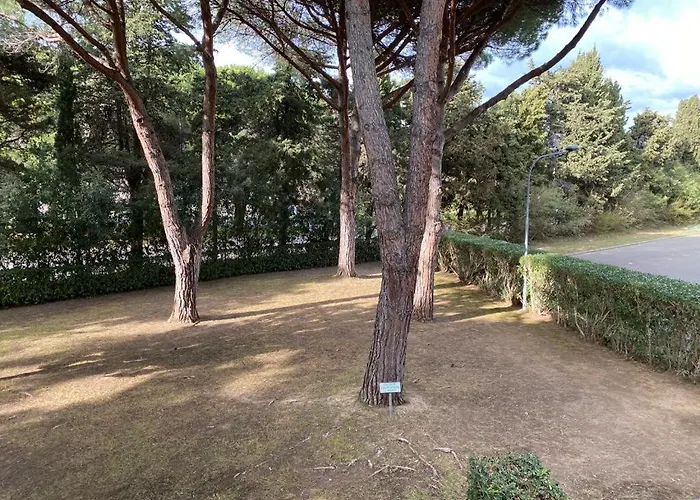 Apartment In Con Piscina